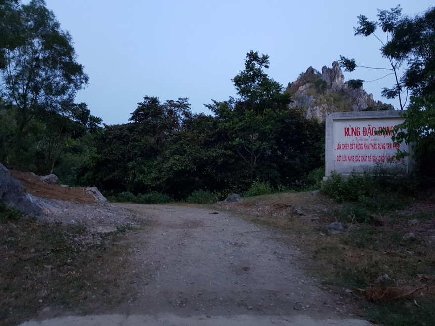 Ngang nhiên chặt phá rừng đặc dụng giữa thành phố