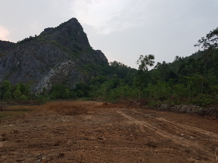 Cách rừng sau khi bị chặt phá, san lấp