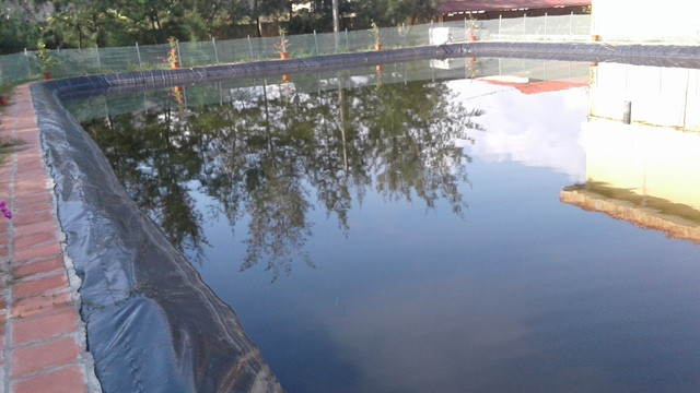 Ảnh bể bơi trước khi bị lấp. Ảnh: Bạn đọc cung cấp