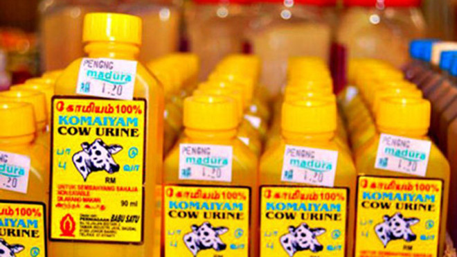 Sản phẩm làm đẹp từ... phân và nước tiểu bò
