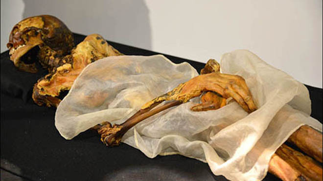 Xác ướp công chúa Ukok. Ảnh: Alexander Tyryshkin/Siberian Times