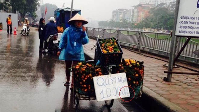 Bảng quảng cáo chữ "Quýt ngọt 10.000" rất to nhưng chữ "1/2kg" (phần khoanh đỏ) lại rất bé, khó nhìn