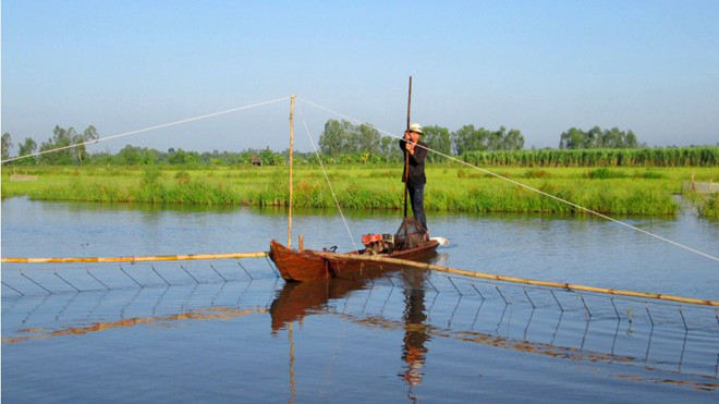Người làm nghề đẩy côn có thu nhập tương đối ổn định. Ảnh: Ngọc Trinh.