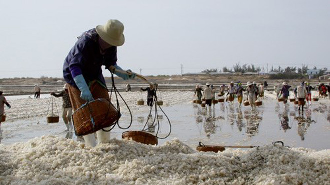Nghề muối cơ cực vì chưa được đầu tư đúng mức - Ảnh: Đào Ngọc Thạch