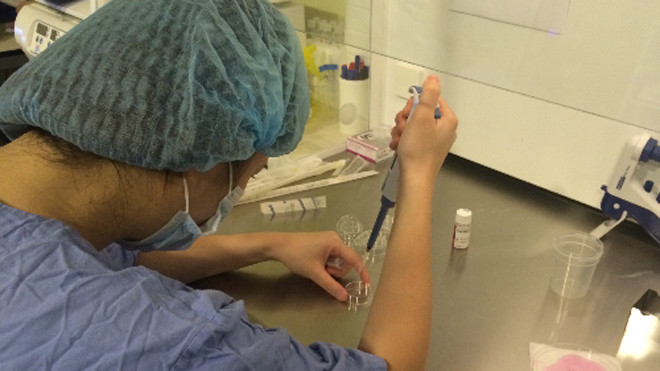 Một giai đoạn trong quy trình thụ tinh ống nghiệm. Ảnh: Lê Phương.