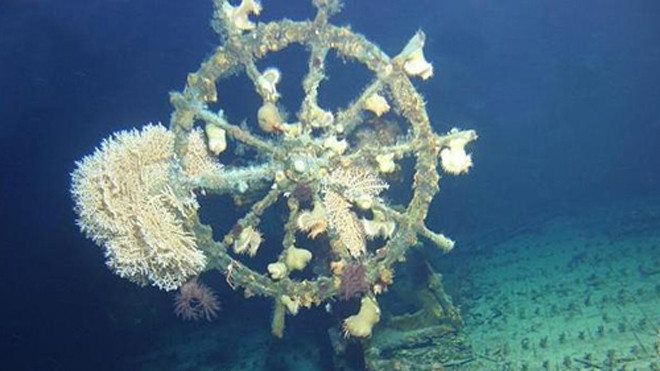 Chiếc bánh lái nguyên vẹn trên con "tàu ma" ở Hawaii. Ảnh: UH