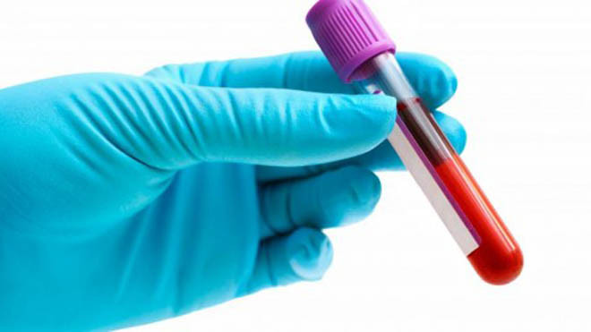 Tạo ra máu nhân tạo từ thực vật