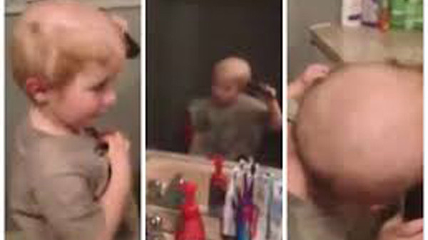 Thành quả “chải đầu” của nhóc tì - Ảnh: Live Leak