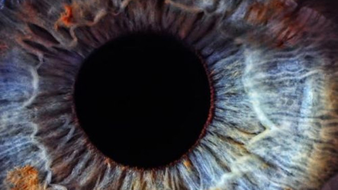 Mắt người: Bí ẩn kỳ thú của tự nhiên.