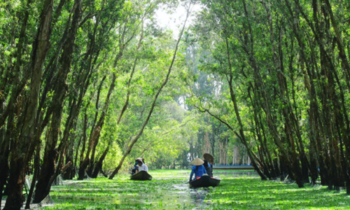 Phượt trên cung đường xanh của Trà Sư 