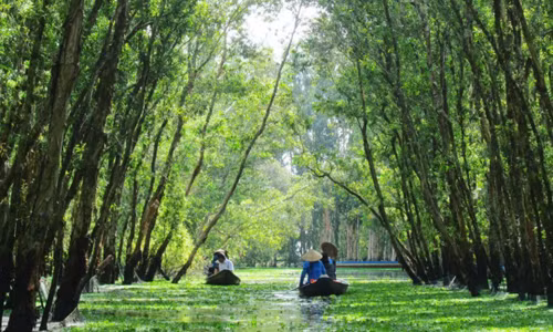 Phượt trên cung đường xanh của Trà Sư 