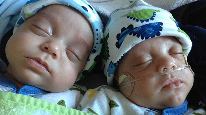 Hai anh em Carl và David hiện tại