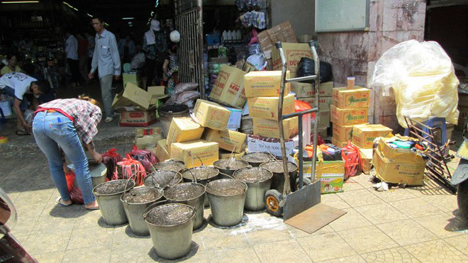 Thạch được bóc khỏi vỏ để chuẩn bị đóng gói. Ảnh: Lan Anh.