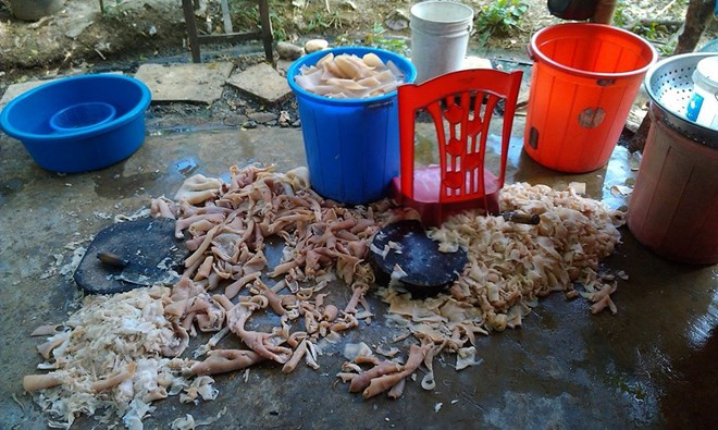 Theo nội dung chia sẻ thì tác giả vô tình bắt gặp cảnh tượng kinh hãi này sau khi anh và cơ quan đang đi nghỉ mát và dừng chân tại cửa hàng nem chua H.C (Thanh Hóa). 