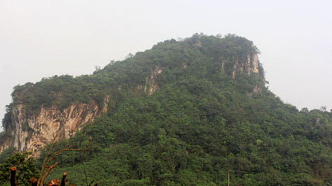 Quả núi hình con cóc 