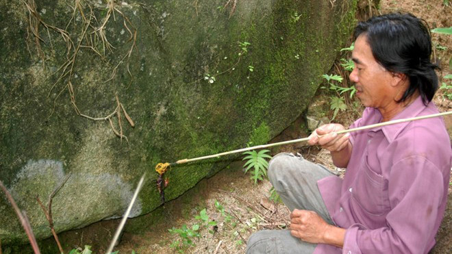 Cua núi chỉ xuất hiện trong những tháng mùa mưa. Người dân tranh thủ săn loài này để phục vụ cho các nhà hàng, quán nhậu. Ảnh Ngọc Trinh. 