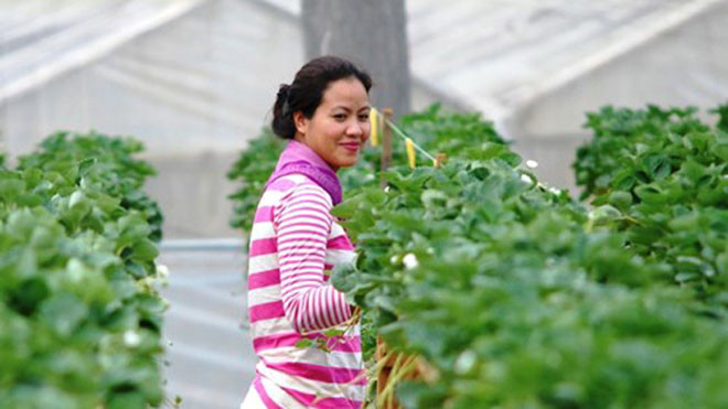  Bà Thủy bên vườn dâu nhà mình.