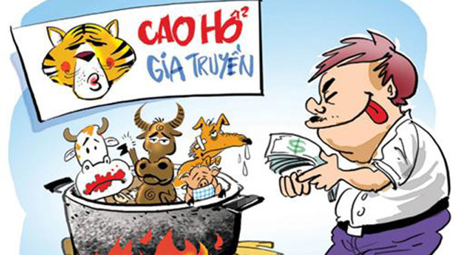 Vì sức khoẻ của chính bản thân, đừng sử dụng cao hổ.