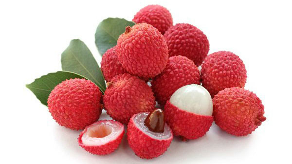 Không chỉ là loại quả ngon, vải còn cho ta nhiều loại thuốc quý.