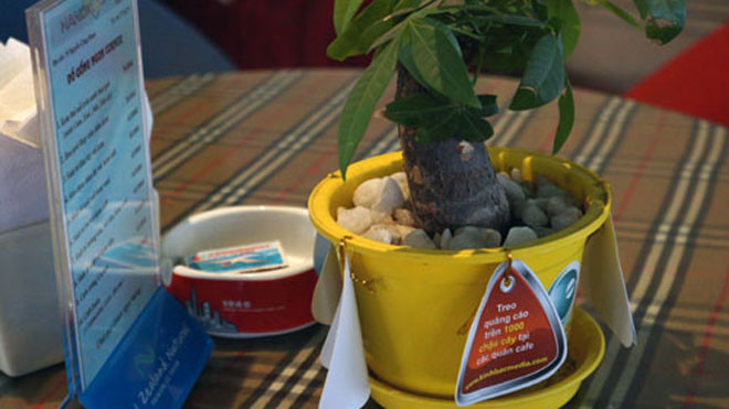 Thời gian tới anh Giang sẽ mở rộng các địa điểm đặt cây miễn phí, đồng thời chuyển sang cây trồng thủy sinh vừa sang trọng và thuận tiện chăm sóc. Ảnh: T.T