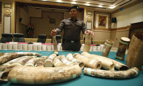 Số tang vật trưng bày tại trụ sở cảnh sát Thái Lan. Ảnh: AP.