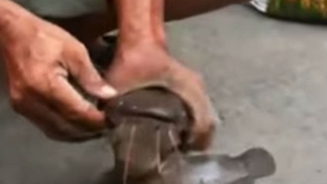 Ngạc nhiên câu được cá trê dưới cống ở TP HCM