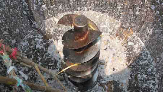 Tai nạn rùng mình, nát 4 ngón tay vì máy xay thịt