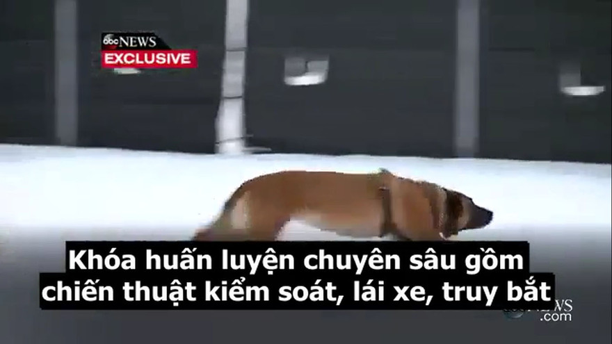 Bên trong trại huấn luyện đặc vụ bảo vệ tổng thống Mỹ