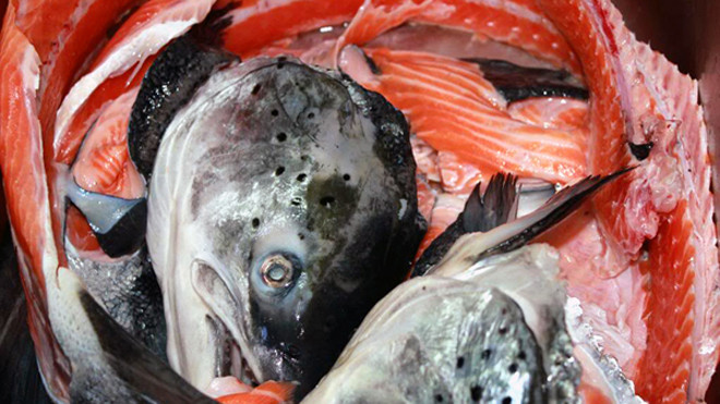 Bà bầu, mẹ trẻ đua nhau mua xương cá hồi về tẩm bổ cho con