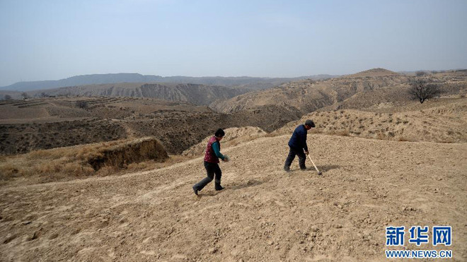 Cận cảnh vợ chồng ông Vương Minh Hậu gieo trồng trên núi