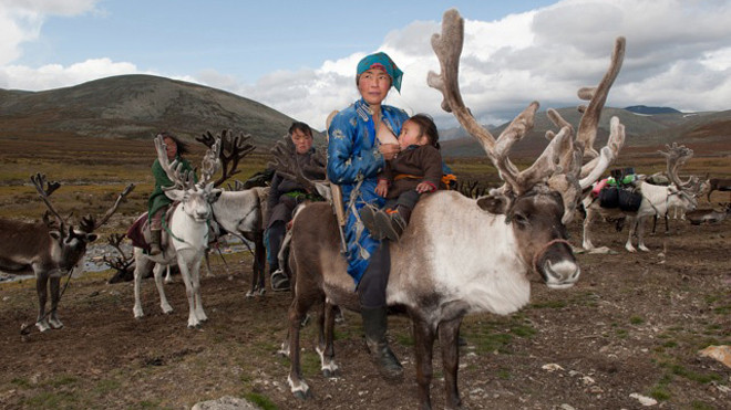 Đối với người Tsataan, tuần lộc không chỉ là một loài vật nuôi gắn liền với cuộc sống của họ, mà còn mang ý nghĩa như một biểu tượng văn hóa.
