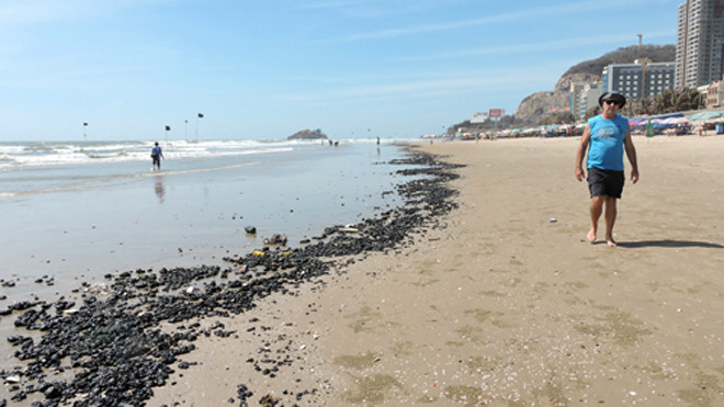 Hàng loạt các bãi tắm bị dầu vón cục tấn công. Ảnh: Xuân Mai