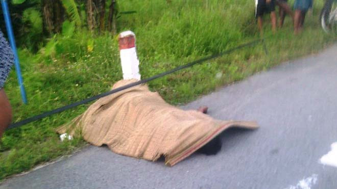 Thi thể nạn nhân được phát hiện trên quốc lộ. 