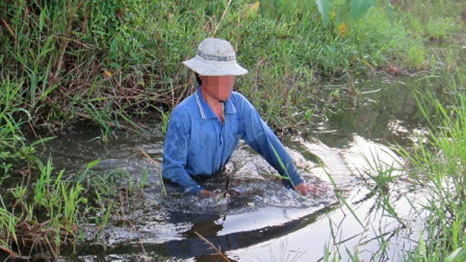 Nghề cắm câu rắn độc phải băng đồng, lội ao, vượt đường xa hàng chục kilomet...