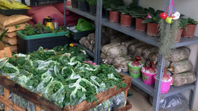 Trung bình mỗi ngày cửa hàng cho doanh thu từ 1-3 triệu đồng, thậm chí có ngày lên tới 5 triệu đồng