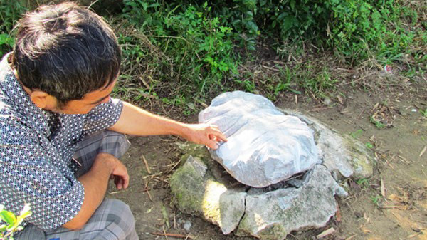 Hòn đá lạ chữa bệnh gây xôn xao. 