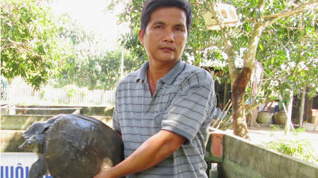 Từ việc bán con giống và thịt ba ba, cua đinh... mỗi năm ông Thủ lãi trên 1 tỷ đồng.