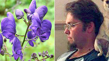 Cây hoa độc và nạn nhân 