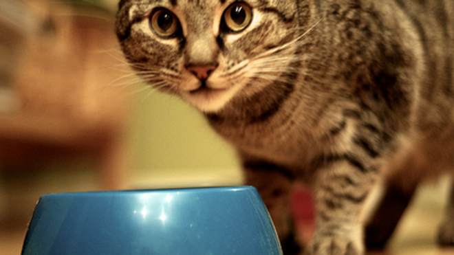 8 'ổ vi khuẩn' trong nhà mà bạn không ngờ tới