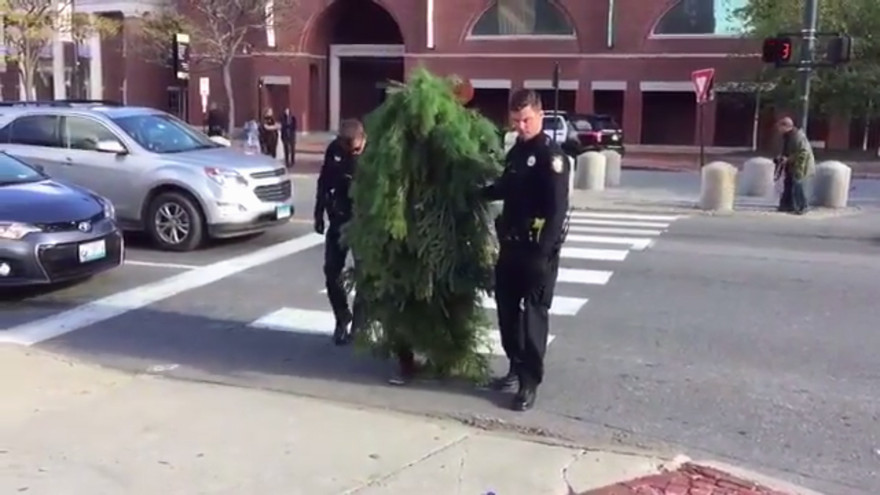 Người đàn ông hoá trang thành cây giữa đường