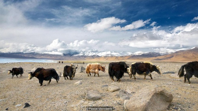 Ngôi làng sống trên 'nóc nhà thế giới'