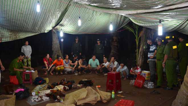 hiện trường đá gà 