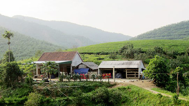 Vườn nhà ông Dân nằm sát cạnh khe suối nên đàn voi rừng thường xuyên ghé thăm.