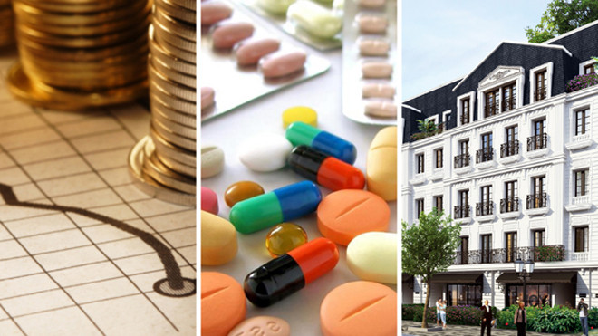 Vimedimex Group hoạt động chính trong lĩnh vực Dược phẩm, Y tế, Tài chính và Bất động sản 