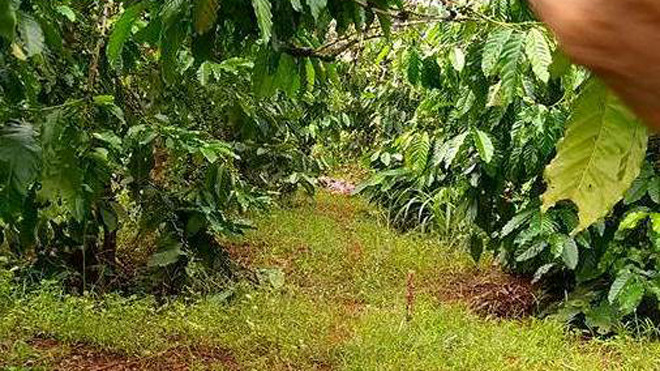 Hiện trường vụ nổ