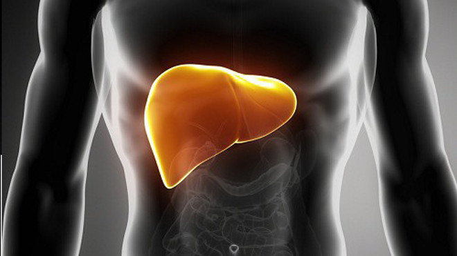 Chữa gan nhiễm mỡ bằng thực phẩm
