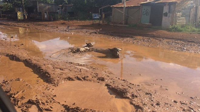 Tuyến đường vào hiện trường vụ án.