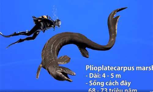 Những loài thương long lớn nhất thời tiền sử