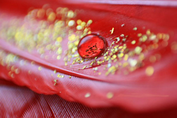 Ảnh minh họa: NP