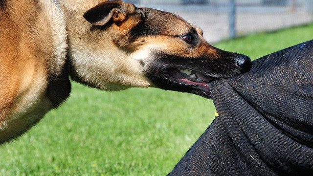 Ảnh minh hoạ: Internet